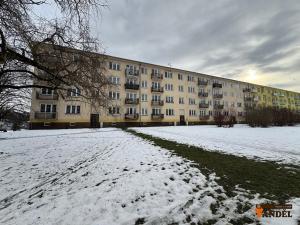 Pronájem bytu 2+1, Havířov, Dělnická, 50 m2