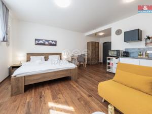 Prodej bytu 1+kk, Vrchlabí - Hořejší Vrchlabí, Horská, 31 m2