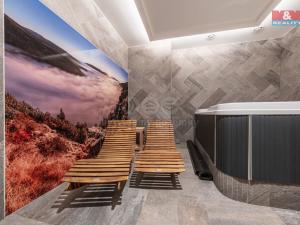 Prodej bytu 1+kk, Vrchlabí - Hořejší Vrchlabí, Horská, 31 m2