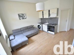 Pronájem bytu 1+kk, Karlovy Vary, Raisova, 30 m2