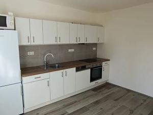 Pronájem bytu 1+1, Plzeň, Elišky Krásnohorské, 40 m2