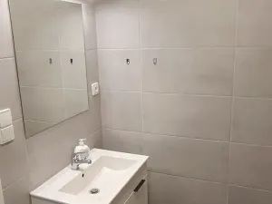 Pronájem bytu 1+1, Plzeň, Elišky Krásnohorské, 40 m2