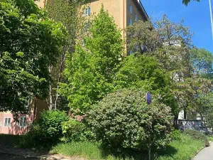Prodej bytu 3+kk, Praha - Vršovice, Bělocerkevská, 74 m2