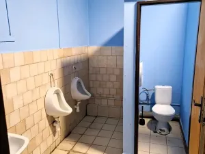 Prodej obchodního prostoru, Frýdlant nad Ostravicí, Janáčkova, 200 m2