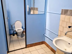 Prodej obchodního prostoru, Frýdlant nad Ostravicí, Janáčkova, 200 m2