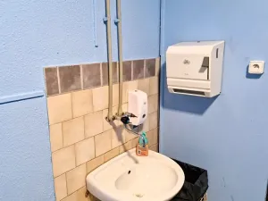 Prodej obchodního prostoru, Frýdlant nad Ostravicí, Janáčkova, 200 m2