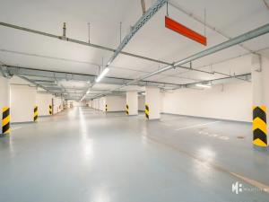 Pronájem bytu 1+kk, Praha - Žižkov, Tetauerova, 31 m2