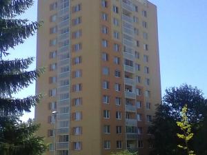 Prodej bytu 1+1, Brno, Novoměstská, 35 m2