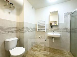 Pronájem bytu 2+kk, Brandýs nad Labem-Stará Boleslav, Masarykovo náměstí, 48 m2