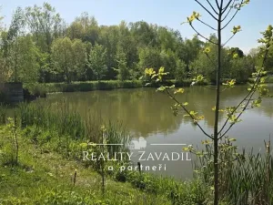 Prodej rybníku, Žabeň, 30500 m2