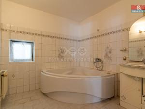 Prodej rodinného domu, Nepomyšl, 410 m2
