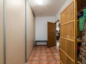 Prodej bytu 2+kk, Plzeň, U Velkého rybníka, 62 m2