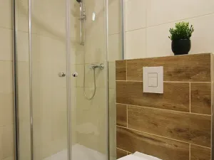 Prodej bytu 2+1, Brno, Francouzská, 41 m2