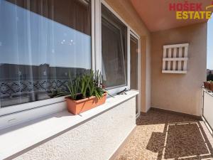 Prodej rodinného domu, Újezd u Brna, Na Zahrádkách, 259 m2