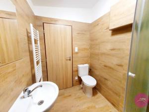 Pronájem bytu 1+kk, Olomouc, Uhelná, 35 m2
