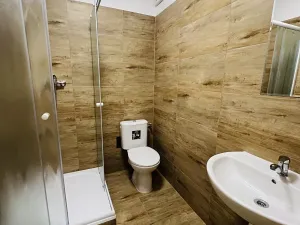 Pronájem bytu 1+kk, Olomouc, Uhelná, 35 m2