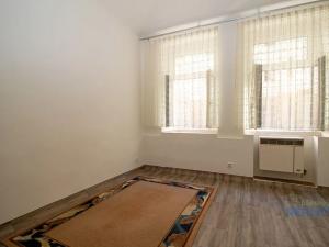 Pronájem bytu 1+kk, Praha - Žižkov, Vlkova, 21 m2