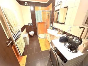 Pronájem bytu 2+kk, Plzeň, Hluboká, 65 m2