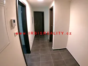 Pronájem bytu 2+kk, Plzeň, Papírnická, 50 m2