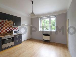 Prodej bytu 1+1, Praha - Žižkov, Na Balkáně, 48 m2