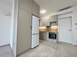 Pronájem bytu 1+kk, Brno, Bratislavská, 35 m2