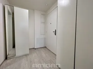 Pronájem bytu 1+kk, Brno, Bratislavská, 35 m2