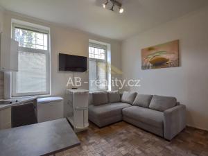 Pronájem bytu 1+kk, Teplice, Jankovcova, 16 m2