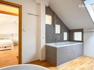 Pronájem bytu 2+1, Praha - Smíchov, Hořejší nábřeží, 117 m2