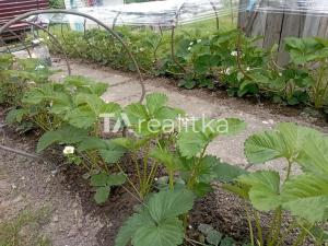 Prodej chaty, Havířov, Selská, 10 m2
