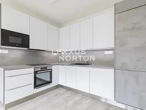 Pronájem bytu 2+kk, Praha - Vysočany, Stejnosměrná, 61 m2
