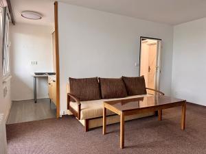 Pronájem bytu 1+kk, Pardubice, Brožíkova, 38 m2