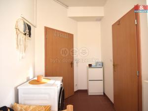 Pronájem bytu 1+kk, Šestajovice, Komenského, 29 m2