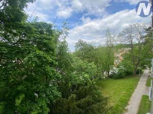 Pronájem bytu 2+kk, Český Krumlov, U Jeslí, 39 m2