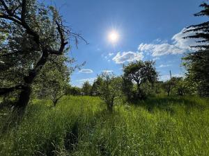 Prodej rodinného domu, Brodek u Prostějova, Salajky, 83 m2