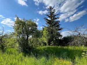 Prodej rodinného domu, Brodek u Prostějova, Salajky, 83 m2