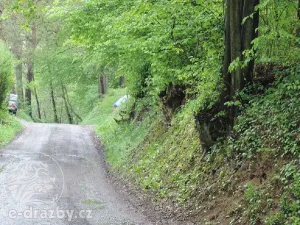 Dražba pozemku, Medonosy, 9062 m2
