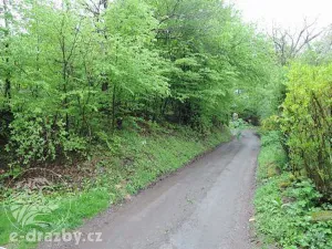 Dražba pozemku, Medonosy, 9062 m2