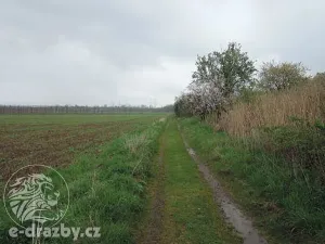 Dražba pozemku, Postoloprty, 651 m2