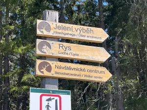 Prodej rodinného domu, Kvilda, 408 m2