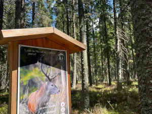 Prodej rodinného domu, Kvilda, 408 m2