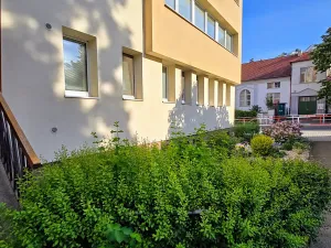 Prodej bytu 1+kk, Praha - Braník, Branická, 20 m2