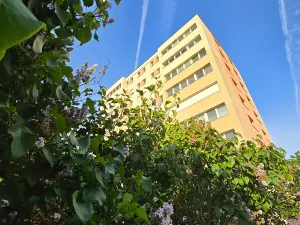 Prodej bytu 1+kk, Praha - Braník, Branická, 20 m2