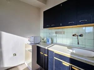 Prodej bytu 1+kk, Praha - Braník, Branická, 20 m2