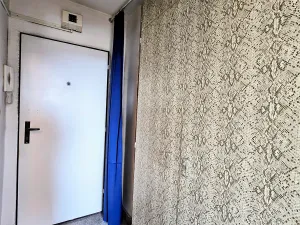 Prodej bytu 1+kk, Praha - Braník, Branická, 20 m2
