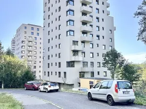 Prodej bytu 3+kk, Liberec, Polní, 75 m2