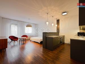 Pronájem bytu 1+kk, Olomouc - Nová Ulice, Wellnerova, 45 m2