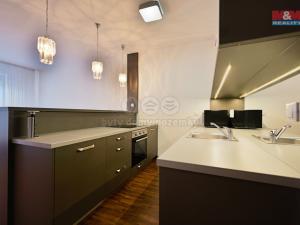 Pronájem bytu 1+kk, Olomouc - Nová Ulice, Wellnerova, 45 m2