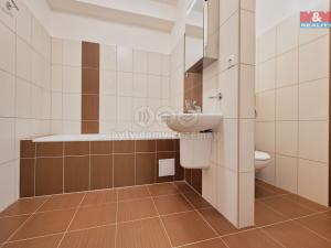 Pronájem bytu 1+kk, Olomouc - Nová Ulice, Wellnerova, 45 m2
