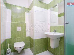Pronájem bytu 1+kk, Praha - Horní Měcholupy, Hornoměcholupská, 32 m2