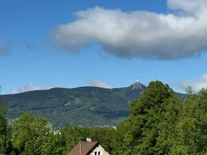 Dražba louky, Liberec, 1019 m2